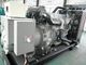 Motor diesel del comienzo del generador 1mw 24V DC del paralelo 1250kva perkins de la sincronización de la rejilla